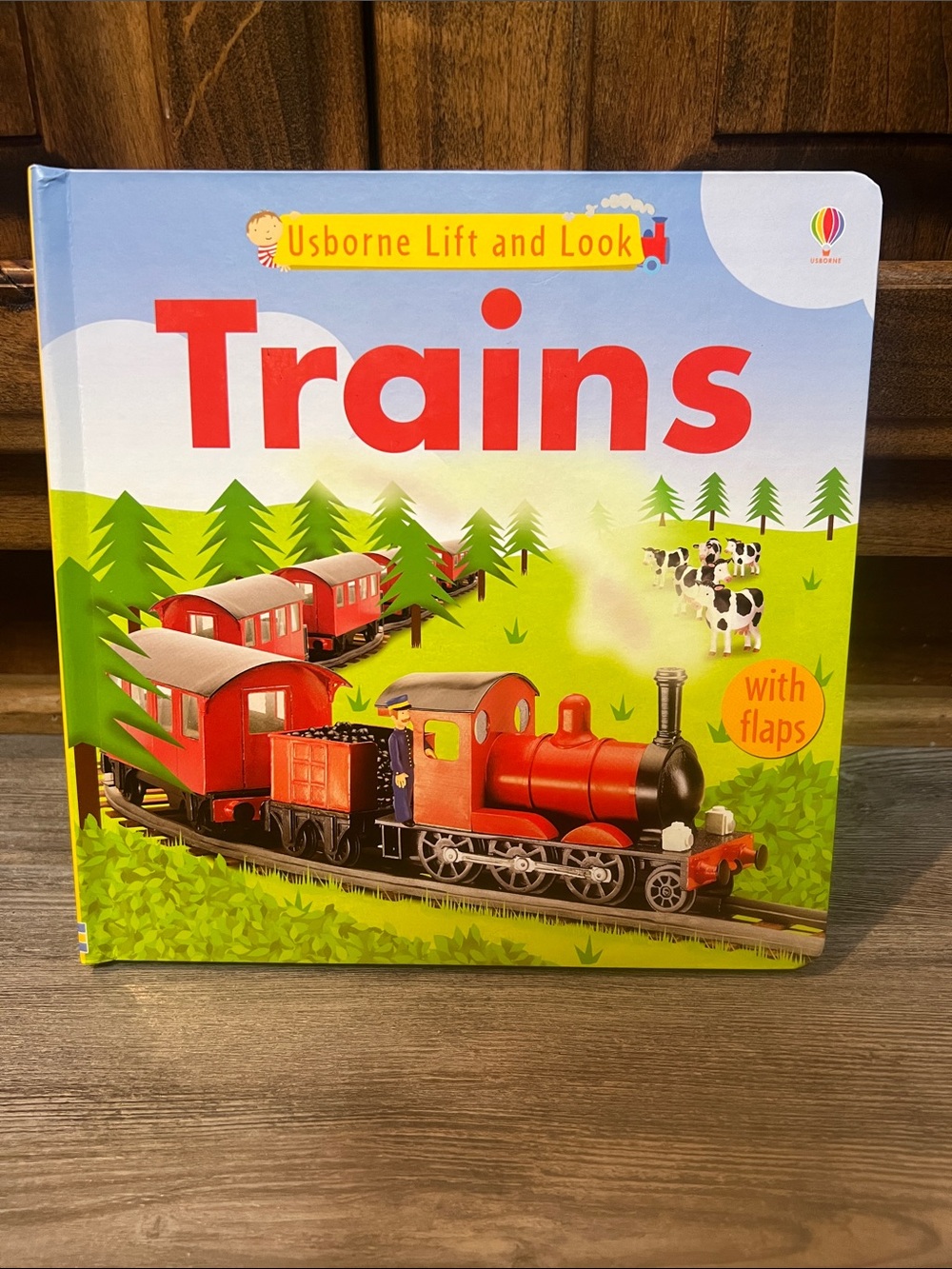Usborne Trains Lift-and-Look Book